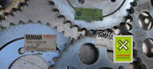 IMG_20230826_183341